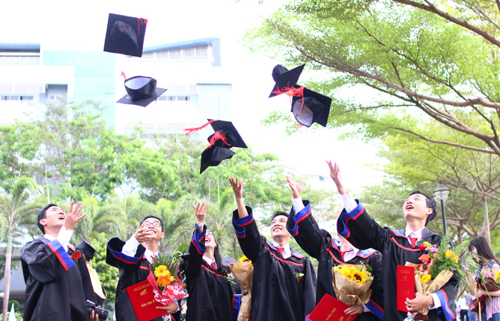 Undergraduate programs taught in Vietnamese language